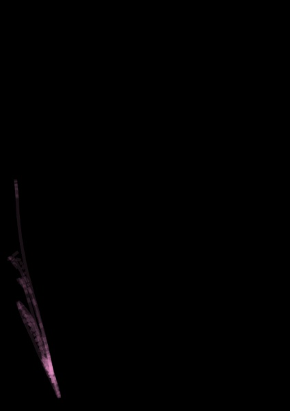 無題 by bel (35705 B)